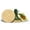 Shamrock Cookie Stamp, variant on Irish Ceramic Cookie Stamp Woodland Flower Design by Brown Bag