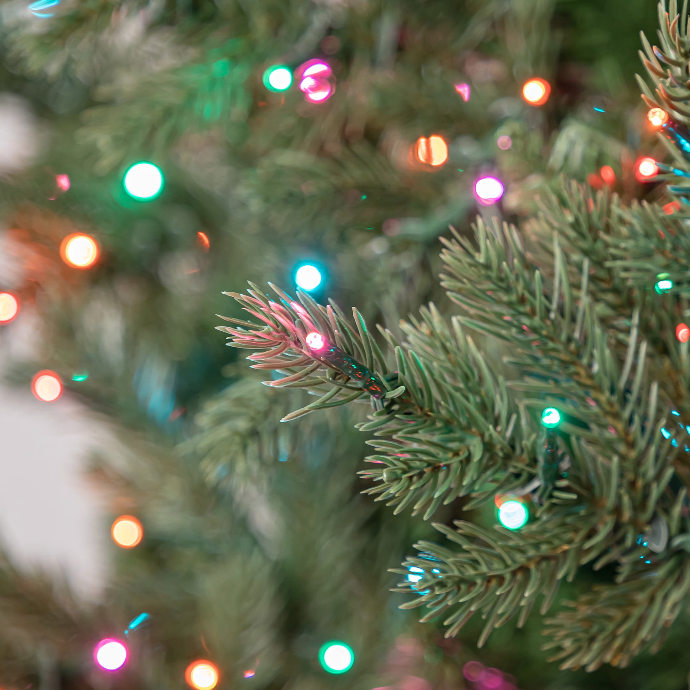 My Texas House 12' Pre-Lit Grand Spruce Green Artificial Christmas Tree with LumaDazzle Color-Changing Twinkle LED Lights, Quick Set, and Stand