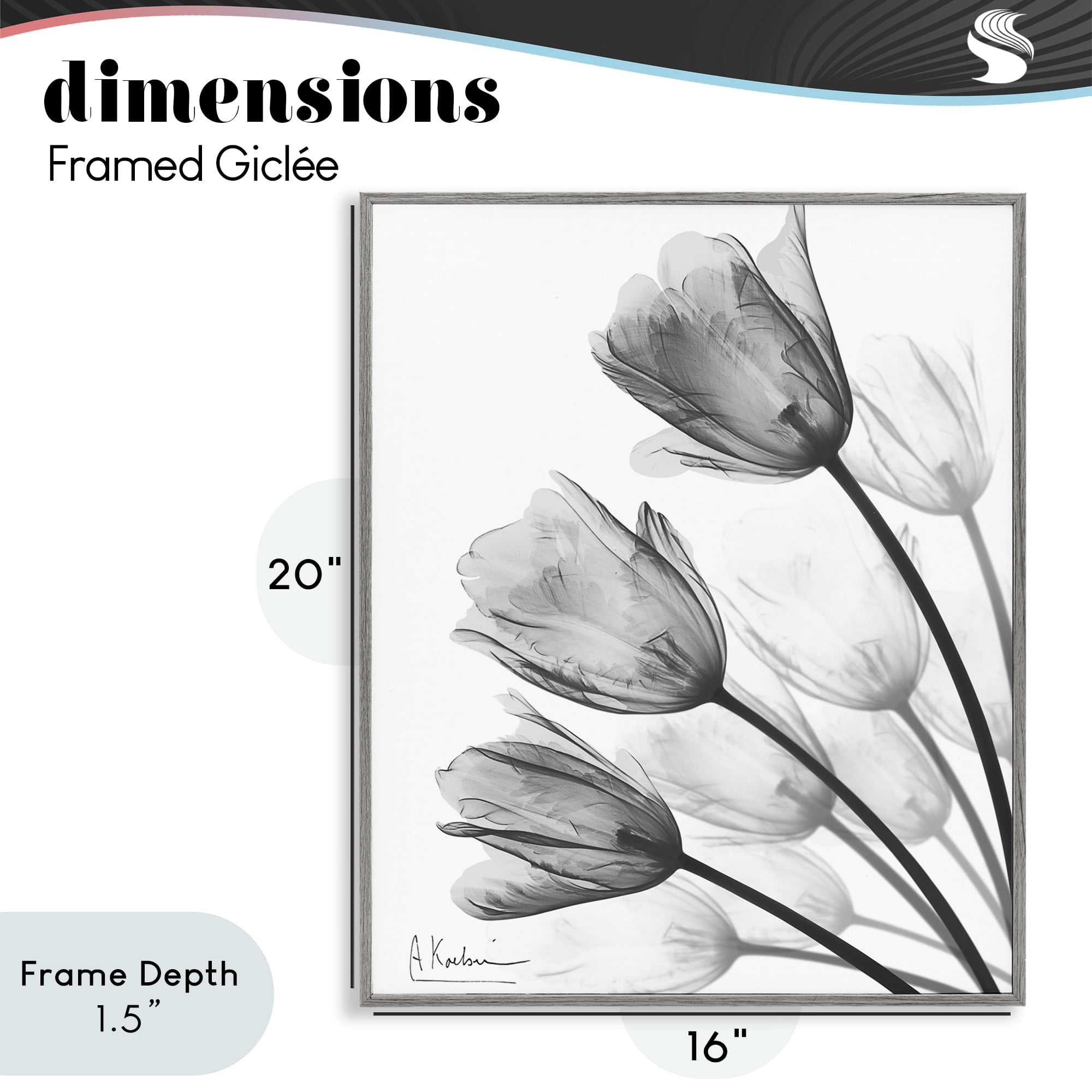 Stupell Industries Minimalist Tulip Fan Gray Framed Giclee Art, design by Albert Koetsier