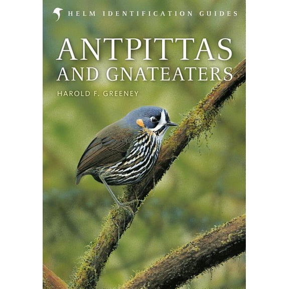 Helm Identification Guides Antpittas and Gnateaters, (Hardcover)