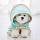 thumbnail image 5 of Albornoz para perros Yuyangstore toalla de secado 35cmx35cm, 5 of 8