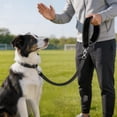 thumbnail image 7 of 2 Pcs Heavy Duty Leash 47.2 Inch for Medium and Large Dogs, Double Sided Reflective Nylon Leash with Padded Handle, Black Dog Walking Leash for Outdoor Training, Pet Leashes, 7 of 7