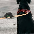 thumbnail image 4 of CTIRCHIU Lightweight Pet Pouch Black with Two Strips for Secure Leash Attachment, 4 of 7