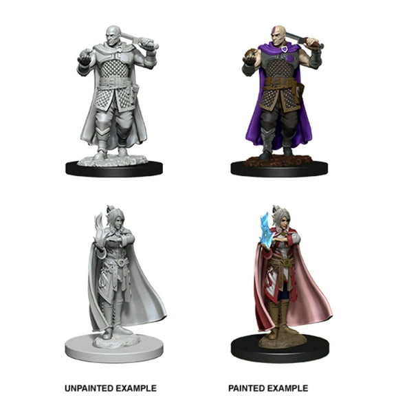 WizKids WZK73675 Dungeons & Dragons Nolzurs Marvelous Human Ranger & Moon Elf Sorc W8 Miniatures