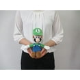 thumbnail image 4 of Super Mario All Star Collection Plush: AC02: 10" Luigi, 4 of 5