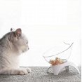 thumbnail image 5 of 15 comederos elevados para gatos con tapete de silicona, cuenco de plástico con soporte, 5 of 5