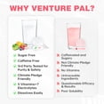 thumbnail image 5 of Venture Pal Sugar Free Electrolyte Powder Packets - Daily Hydration Packets | Electrolytes Drink Mix with 5 Vitamins & 7 Electrolytes | Keto Friendly | Non-GMO | Certified Vegan | 16 Sticks, 5 of 6