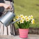 thumbnail image 5 of Colourful Plastic Flower Pot Succulent Flowerpot Home Office Decor, 5 of 6