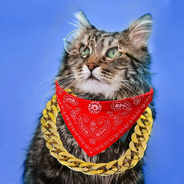 Cool cat collar sale