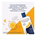 thumbnail image 2 of Shampoo Folicuré   extra 700 ml, 2 of 4