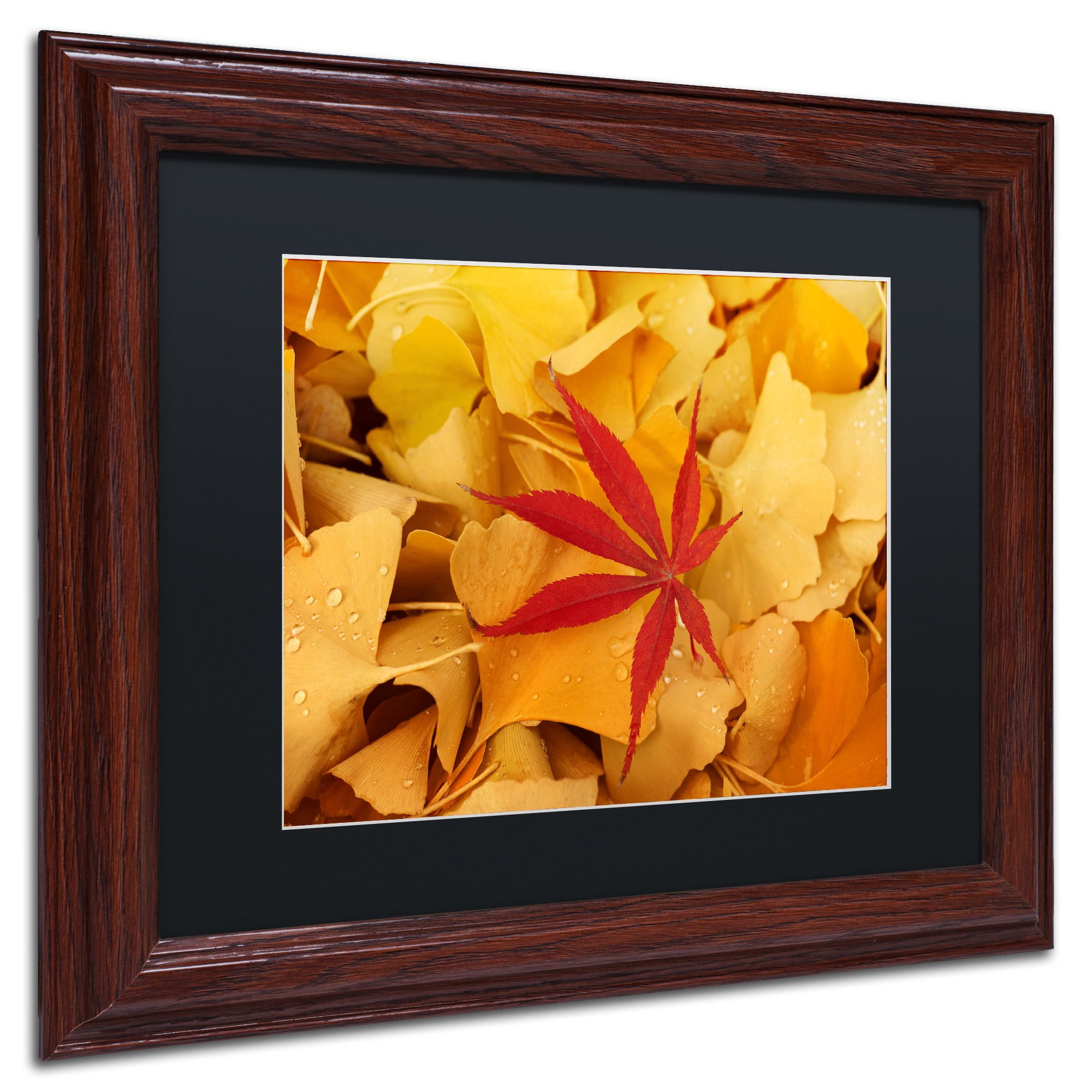 Red vs Yellow by Philippe Sainte-Laudy Black Frame 11x14-Inch