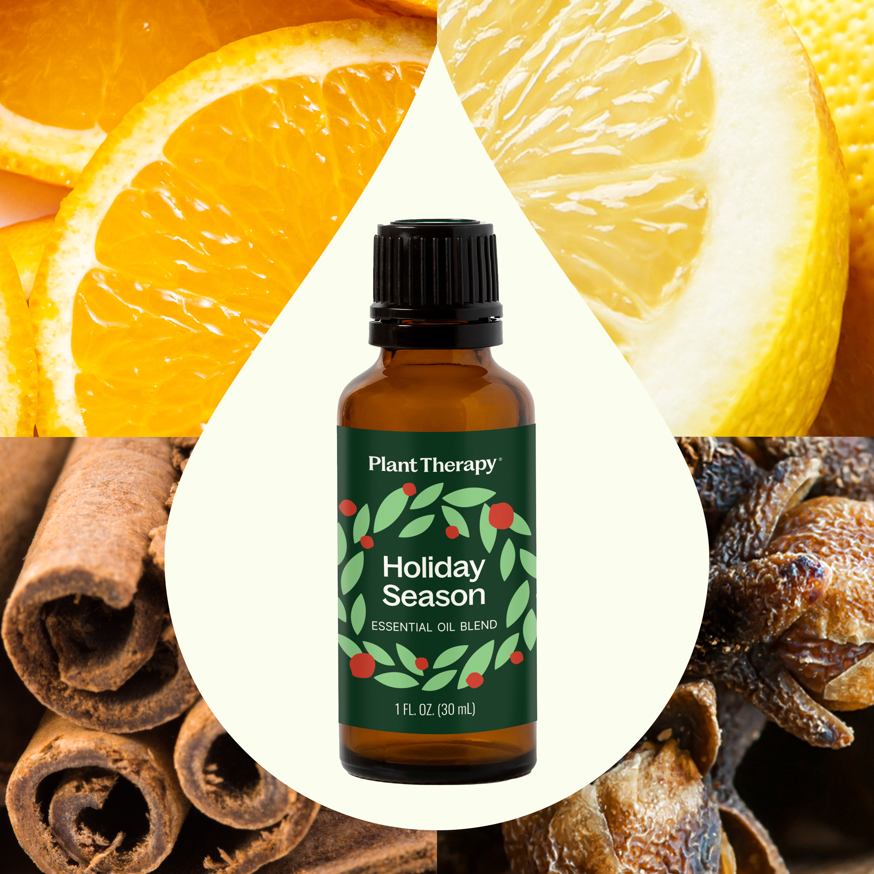 Plant Therapy Holiday Season Essential Oil Blend 30 mL (1 oz) 100% Pure, Undiluted, Natural Aromatherapy