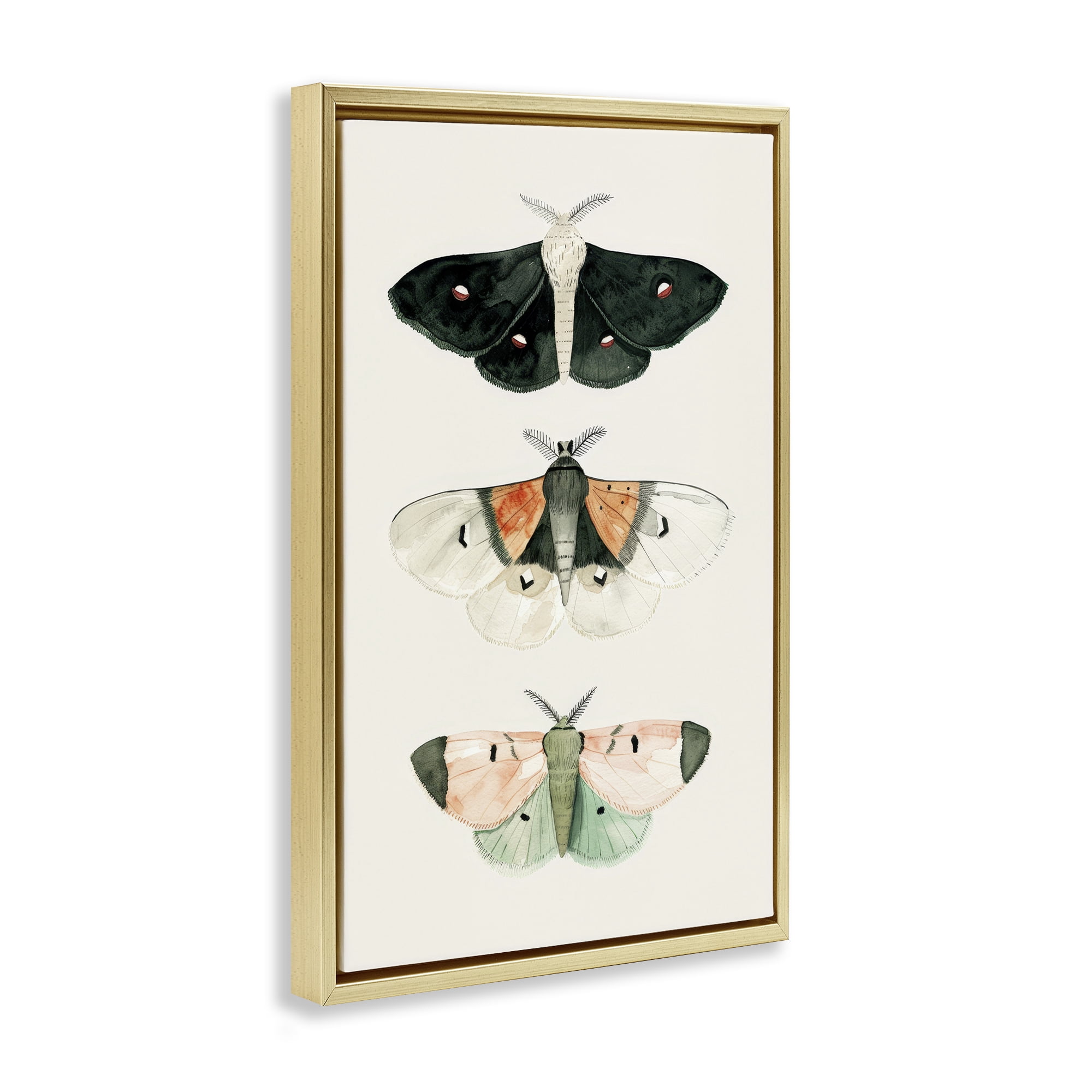 Stupell Industries Assorted Moth Trio Animals Painting Gold Floater Framed Canvas Art Print Wall Art, 21 x 31