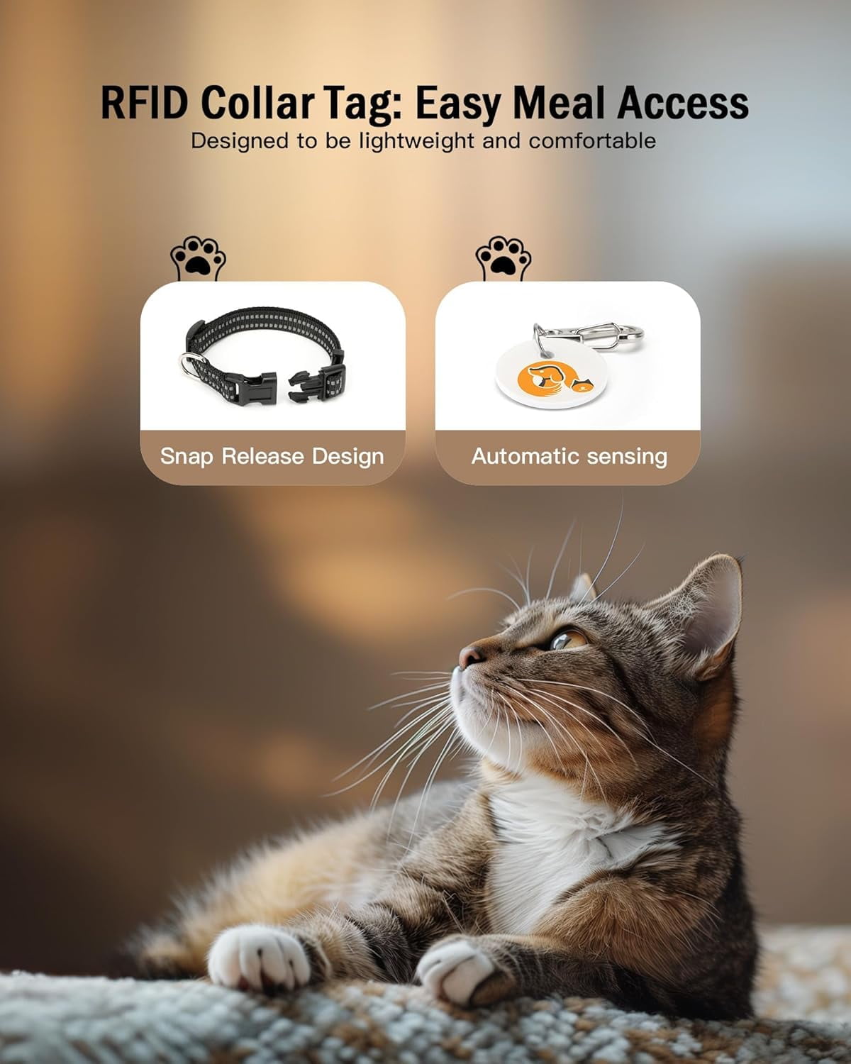 Automatic Cat Feeder, Microchip Pet Feeder, Auto Cat Feeder with Collar, Automatic Pet Feeder - Prevents Food Stealing, Perfect for Prescription Diets, Schedules Meals for Multiple Cats