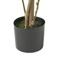 thumbnail image 4 of Atoka 5.5' x 2' Artificial Tabletop Laurel Tree, Green, 4 of 5