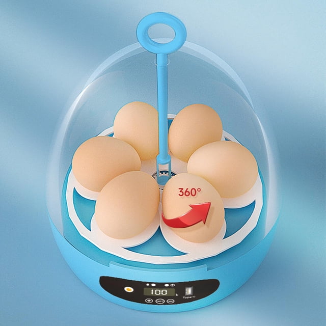 de huevos transparente USB Hatcher con Control de temperatura de luz bandeja de volteador de huevos bandeja de volteador 6 huevos para uso Manual USB Azul Fernando Incubadora automática de huevos