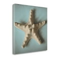 thumbnail image 2 of Tangletown Fine Art Seashell Study III By Heather Jacks,  Gallery Wrap Canvas, 2 of 2
