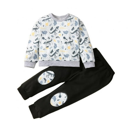 

Baby Dinosaur Printed Sweatshirt Pants Set Casual Suit Embroidery Pants Set