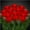 Red, variant on Flashing Panda Dozen Light Up Glowing Red Rose Flowers on a Stem, 12-inch Red LED - Valentines Day, Mothers Day, DIY Bouquets, Weddings, Birthdays, Anniversary