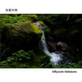 thumbnail image 4 of Sigma 28-70mm F2.8 DG DN for Sony E, 4 of 6