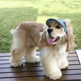 thumbnail image 5 of Aoznliie Dog Sun Hat, Adjustable Breathable Denim Baseball Cap for Small Pets, UV Protection Summer Hat with Ear Holes & Chin Strap, Blue M, 5 of 9