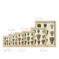 thumbnail image 3 of Cone Shell pl. 318 -Framed Print w/glass-Natural Wood, 3 of 8