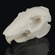 thumbnail image 4 of Accesorios de Resina Modelo de Cráneo de Animal Adorno de Decoración de Paisaje Estatuil de Cueva para Acuario Conejo, 4 of 8