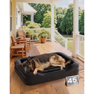 Ophanie Inflatable Orthopedic Dog Bed with Pump, 45" x 33", Black