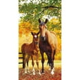 thumbnail image 4 of Island Gear Profile 30"x60" 100% Cotton Velour Beach Towel, 4 of 6