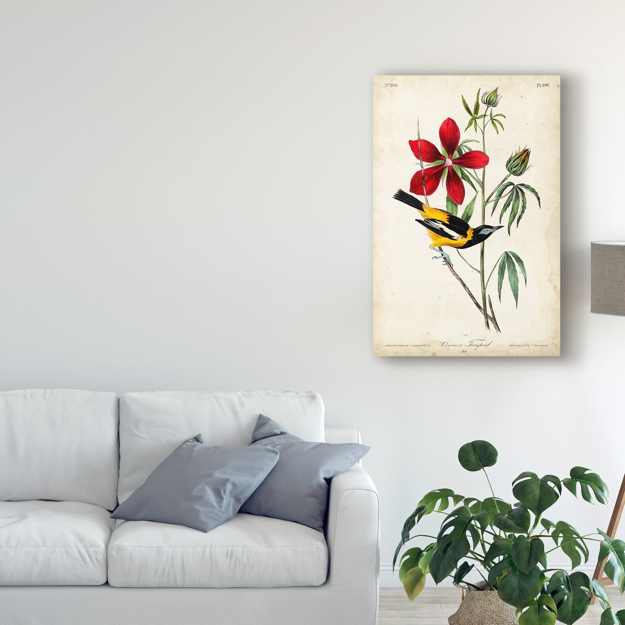Trademark Fine Art 'Audubon Bird and Botanical I' Canvas Art by John James Audubon