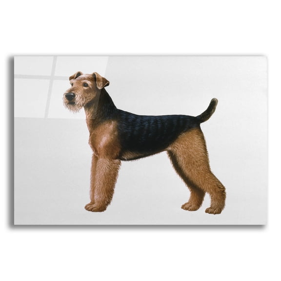 Epic Art 'Airdale Terrier' by Harro Maass, Acrylic Glass Wall Art, 24"x16"