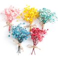 thumbnail image 6 of Eternal Flower Baby's Small Flower bouquet Mini Dried Flower bouquet Mix and match flower diy material decoration Goddess Festival small gift - style：style 45；, 6 of 6