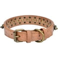 thumbnail image 2 of Mushrooms Spiked Rivet Studded Adjustable Pu Leather Pet Collars for Cats Puppy Dogs 1Pack, 2 of 4