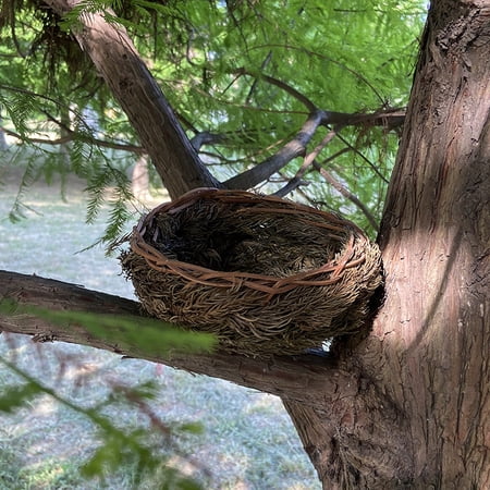 ERTZAE Needle Woven Bird s Nest Parrot Nest Small Bird s Nest Hatching Warm Bird s Nest Handwoven Pine Needle Bird Nest Warm Hatching Nest for Finches Canaries and Small Parrots ERTZAE Needle Woven Bird s Nest Parrot Nest Small Bird s Nest Hatching Warm Bird s Nest Handwoven Pine Needle Bird Nest Warm Hatching Nest for Finches Canaries and Small Parrots