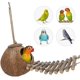 thumbnail image 3 of Escondite de coco natural con escalera, juguetes para pájaros y bichos, nido de pájaros, juguetes para pájaros (1 paquete) Sincero Electrónica, 3 of 4