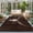 Espresso, Sepia, Walnut, Chocolate, variant on 8'x10' Area Rugs, Longhorn Skull Indoor Outdoor Area Rug for Living Room Bedroom, Boho Brown Distressed Wooden Washable Bathroom Rugs Kitchen Floor Carpet Mats Home Decor Aesthetic