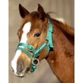 thumbnail image 3 of Monty Roberts Official Dually Training Halter X-Small/Pony/Weanling (with Free DVD), 3 of 4