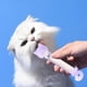 thumbnail image 3 of Cuchara para gatos Cuchara para comida de gatos Cuchara para alimentar a gatos Cuchara para lamer Comida húmeda y snacks líquidos Comedero de barra para gatos, 3 of 5