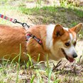 thumbnail image 4 of Flmtop Traction Rope Printing Accessories Polyester Dog Training Harness Vest Leash for Walking Blue, 4 of 9