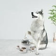 thumbnail image 4 of Juguete para Perros Dispensador de Alimentos Interactivo Jinwen con Cuatro Bandejas, 4 of 8