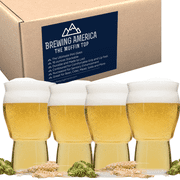 Brewing America Muffin Top Nucleated Beer Glasses - Cider, Soda, Tea - Muffin Top Clear 4 Pack