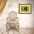 thumbnail image 3 of Illg, Cathy and Gordon 14x11 Gold Ornate Wood Framed with Double Matting Museum Art Print Titled - Shetland Islands Shetland pony and offspring, 3 of 4