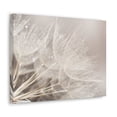 thumbnail image 5 of Soft Focus Dandelion At Sunset Seed Macro Closeup Canvas Wall Art for Home Decor Ready-to-Hang, 5 of 13