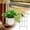 E, variant on Plant Support Stakes, 2026 New Indoor Plant Trellis for Potted Plants, Garden Metal Trellis for Climbing Plants Indoor Outdoor Pothos Hoya Houseplants Flower Plant Support Structures