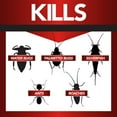 thumbnail image 4 of Eliminator Boric Acid Roach Killer 16 ounce, 4 of 10