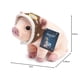 thumbnail image 3 of Compendium Flying Pig Peluche Un Lindo compa&ntilde;ero de Peluche para el Libro, Tal Vez 5 Pulgadas de Ancho x 6 Pulgadas 5 Pulgadas de Alto x 9 Pulgadas. 25&Prime;D Compendium NA, 3 of 12