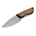 thumbnail image 2 of Buck n Bear Custom Handmade Fixed Blade Damascus Mini Skinner Knife (Walnut Wood Handle), 2 of 3