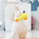 thumbnail image 1 of RKSTN Cotton Toy Duck Pet Toy Duck Yellow, 1 of 7