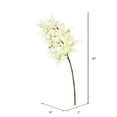 thumbnail image 2 of Vickerman 29" Real Touch Cream Orchid Artificial Floral Stem, 2 of 2