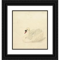 Aert Schouman 20x22 Black Ornate Framed Double Matted Museum Art Print Titled: Knobbelzwaan (1720 - 1792)